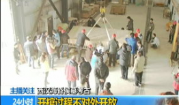 鸡交配视频,一场自然与生命的交配奇观