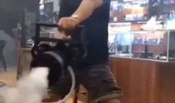 加特林舞蹈视频,动感十足的现代舞韵律展现